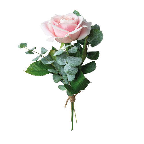 Rosa ros med grönt (välj färg)